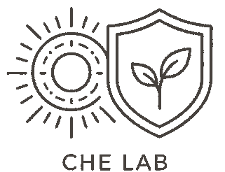 CHE LAB